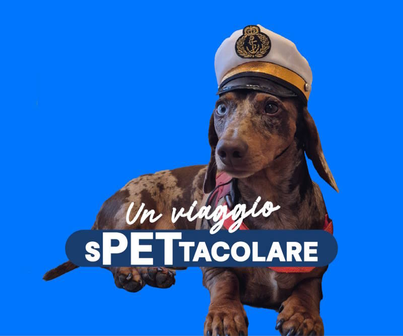 Grimaldi lines condizioni trasporto animali